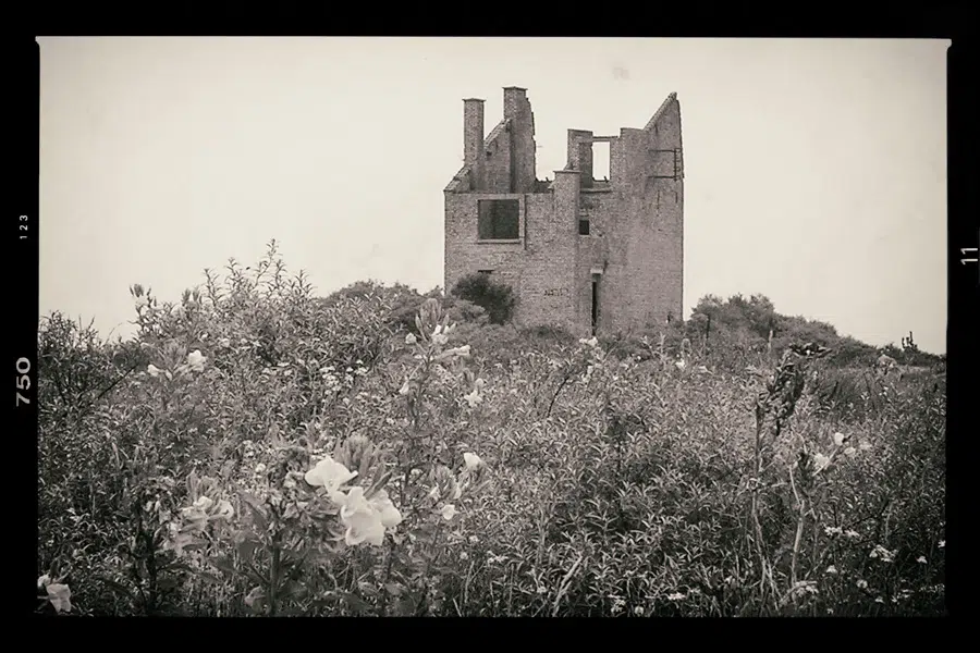 la maison du pendu